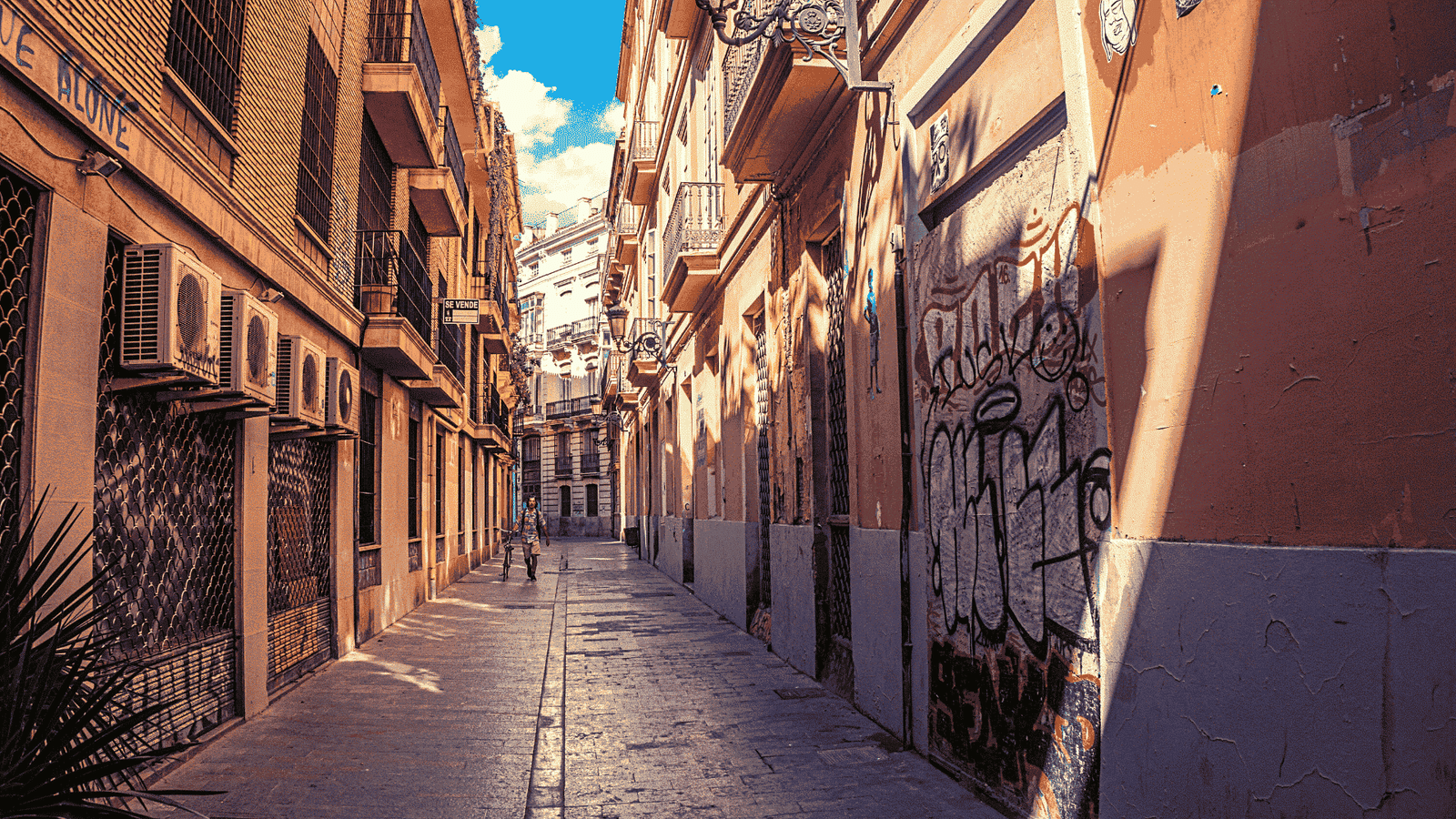 Visit the historic center of Valencia